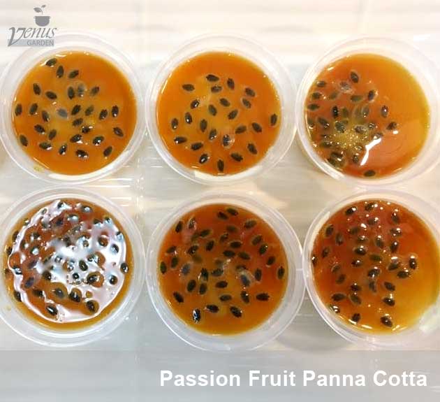 passion fruit panna cotta in Venus Garden