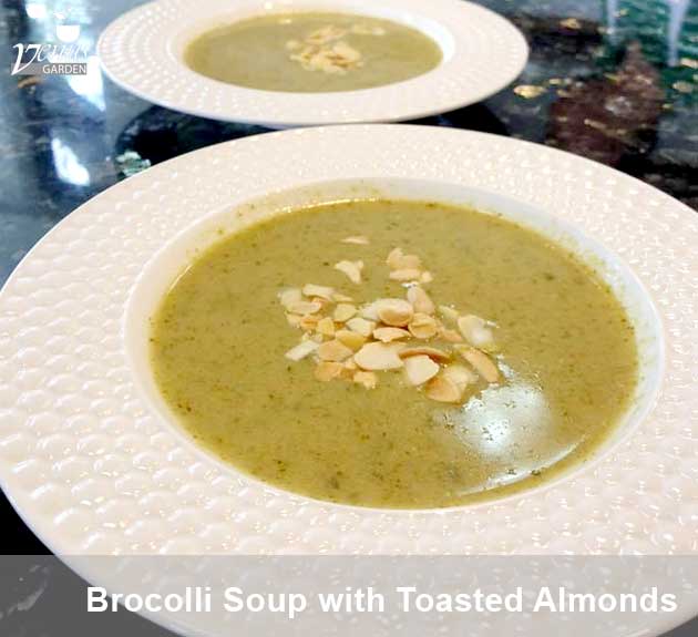 brocolli soup with toasted almonds in Venus Garden