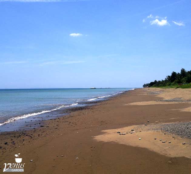 Venus Beach House - Infanta Quezon