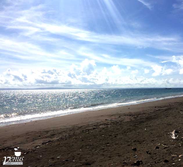 Venus Beach House - Infanta Quezon